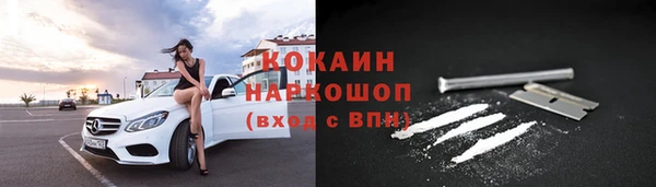винт Няндома