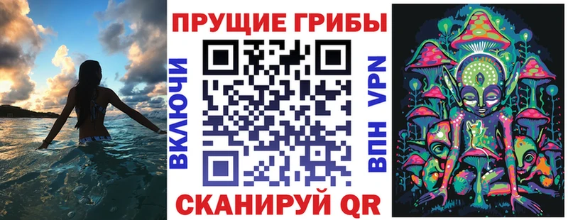 hydra сайт  Питкяранта  Псилоцибиновые грибы мицелий 