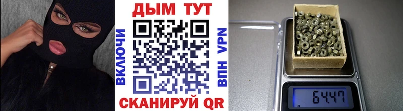 где купить наркотик  Питкяранта  omg tor  сайты даркнета телеграм  МАРИХУАНА сатива 